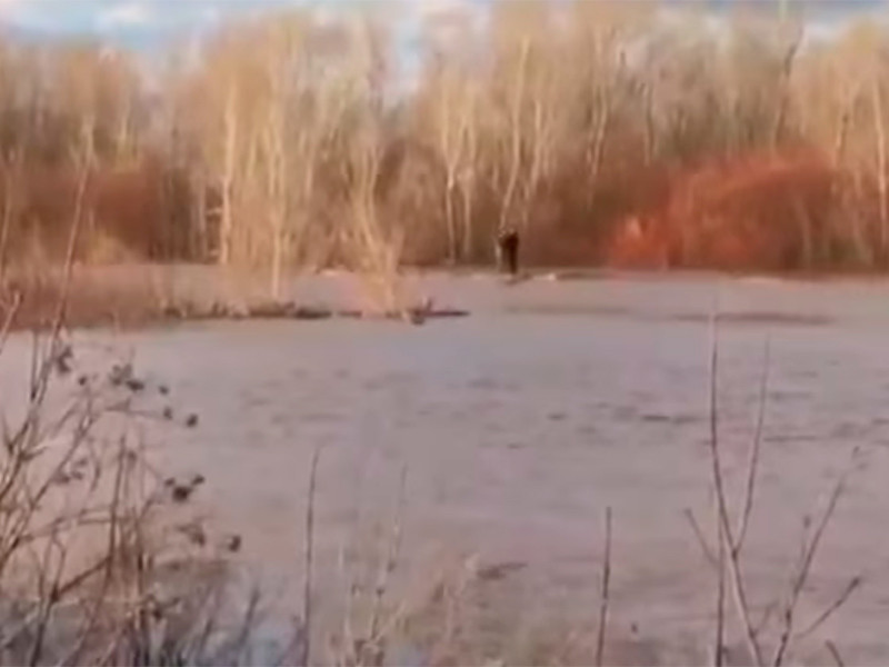 Двух любителей селфи из города Бузулука Оренбургской области унесло быстрым течением реки Самары после того, как они решили сфотографироваться на бревне