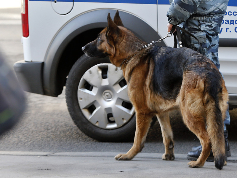 В Хабаровске эвакуировали несколько арбитражных судов и инстанций общей юрисдикции после того, как неизвестный сообщил по телефону о бомбе, заложенной в одном из зданий судов