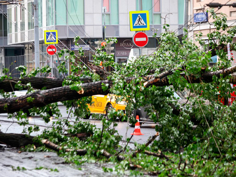Опубликован список погибших в результате урагана в Москве: четверо не моложе 20 лет