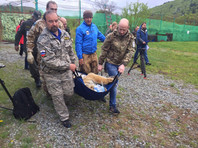 15 мая в дикую природу выпустили амурского тигра по кличке Владик, пойманного в октябре прошлого года во Владивостоке