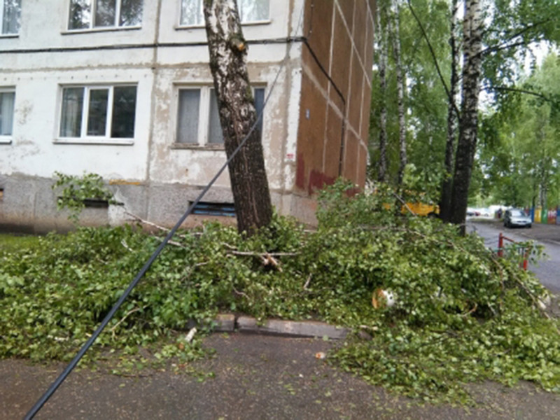 29 мая, когда на Москву и Подмосковье внезапно обрушился страшный ураган, ставший причиной гибели 16 человек, в столице Мордовии городе Саранске наблюдались кратковременные порывы ветра до 15 м/с, вследствии которых оказались повалены деревья