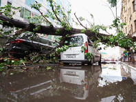 Ураганный ветер обрушился на Москву днем 29 мая. По всему городу повалены деревья, разрушены малые архитектурные формы