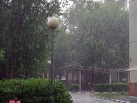 В Гидрометцентре уточнили, что сильные дожди сопровождались грозами, ветер усиливался до 15-22 м/с, местами в российской столице выпал град

