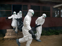 Жертвами вспышки вируса Эбола, начавшейся в Африке в 2014 году и продолжавшейся до января 2016 года, стали более 11 тысяч человек