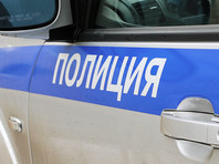 В Новосибирске задержали участника несогласованных "хороводов с шариками"