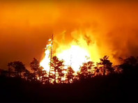 В Свердловской области взорвался газопровод дочки "Газпрома", пламя взметнулось на 60 метров (ВИДЕО)