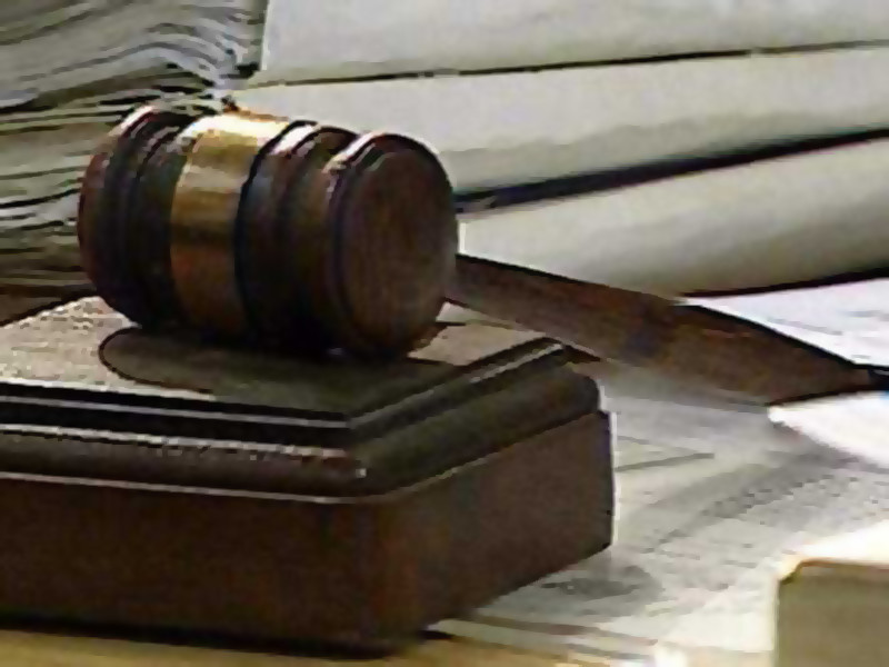 "Хабаровские живодерки" в суде попросили наказание, не связанное с лишением свободы