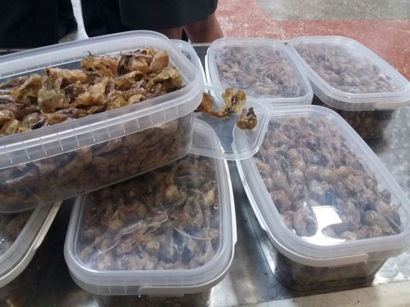 Китаец попытался контрабандой переправить через границу в Приморье жир тысяч лягушек