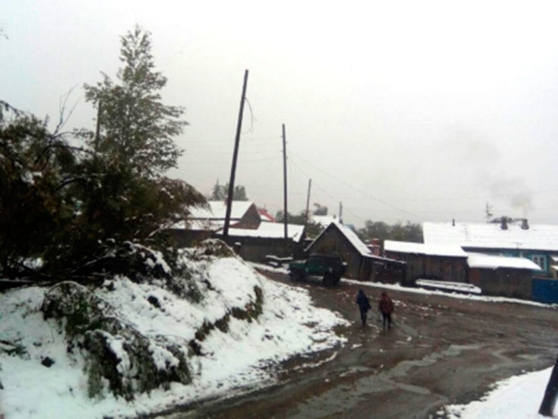 В Амурской области после снегопада пять поселков остались без света, введен режим ЧС