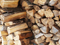 В Курганской области жители поселка скинулись на дрова для почтальонов, пока "Почта России" торговалась на сайте госзакупок