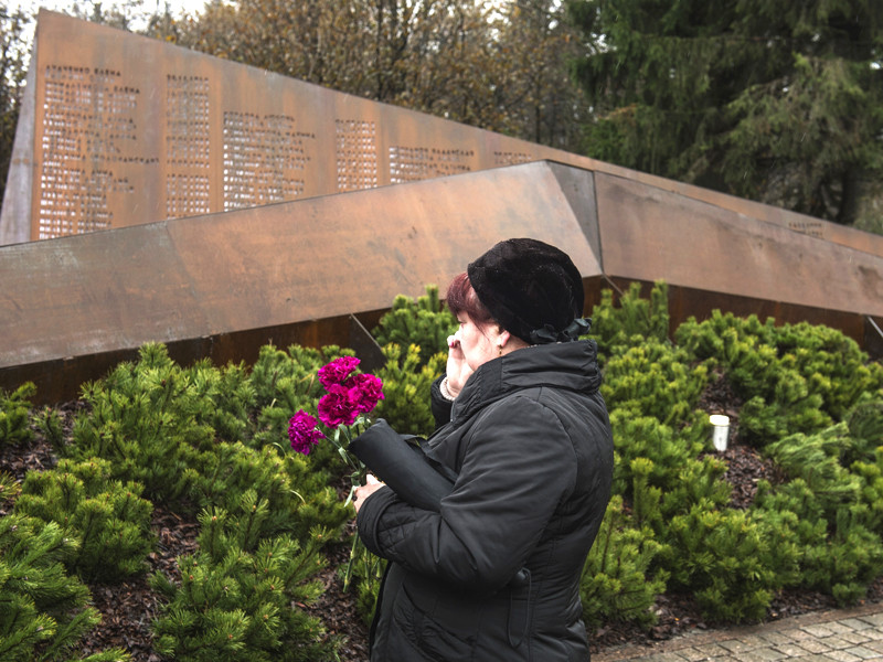 Мемориал погибшим в авиакатастрофе над Синайским полуостровом был открыт во Всеволожском районе Ленинградской области к двухлетней годовщине трагедии - 31 октября 2017 года