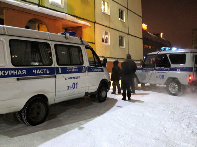 В Норильске введут карантин из-за бешеного "волка", покусавшего нескольких горожан