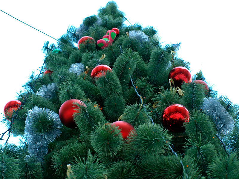 В Железногорске новогоднюю елку для детей-инвалидов устроили на втором этаже 