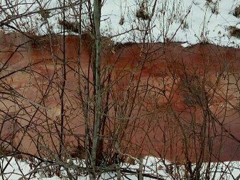 Вода в реке Молчанка, протекающей в Тюменской области, между поселками Новотарманский и деревней Молчанова, около недели назад приобрела красно-оранжевый цвет