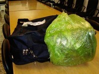 12 чемоданах нашли 389 кг кокаина. МИД в официальном комментарии подтвердил эту информацию - за исключением данных о дипломатическом багаже


