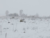 Пассажирский самолет Саратовских авиалиний потерпел крушение после вылета из Домодедово в Орск