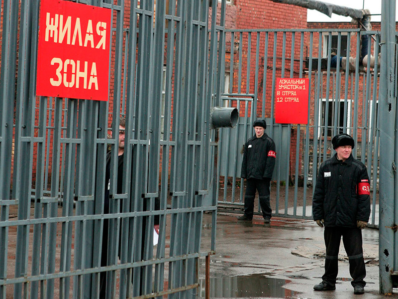 Число осужденных по статьям Уголовного кодекса, связанным с экстремизмом, с 2011 года возросло в России в четыре раза