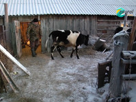 Прокуратура извинилась перед фермером, которого хотела посадить за заказ  на   AliExpress  "шпионского" GPS-трекера для коровы