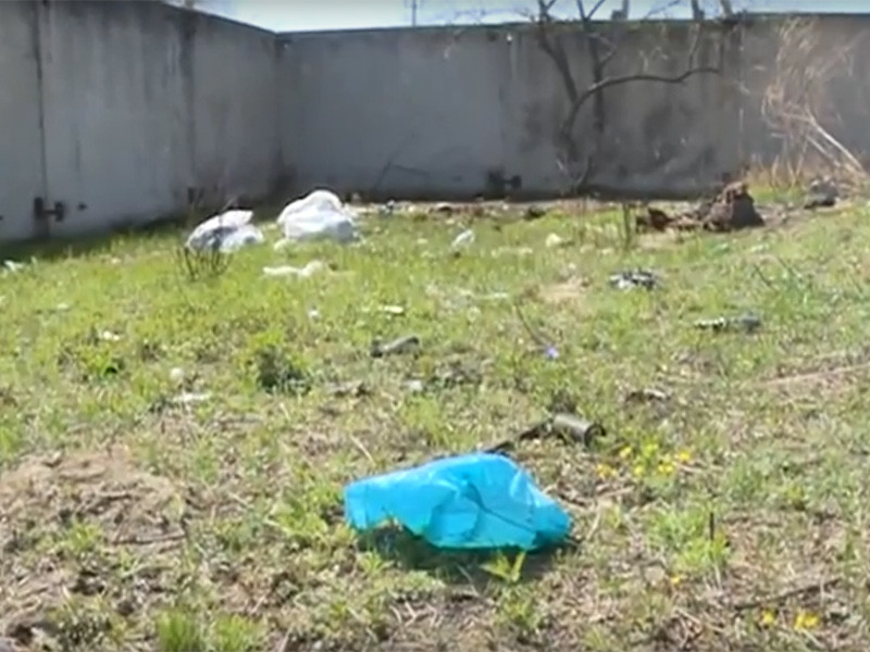 Полиция Приморья проводит проверку по факту обнаружения массовой свалки трупов домашних животных в черте города Артем