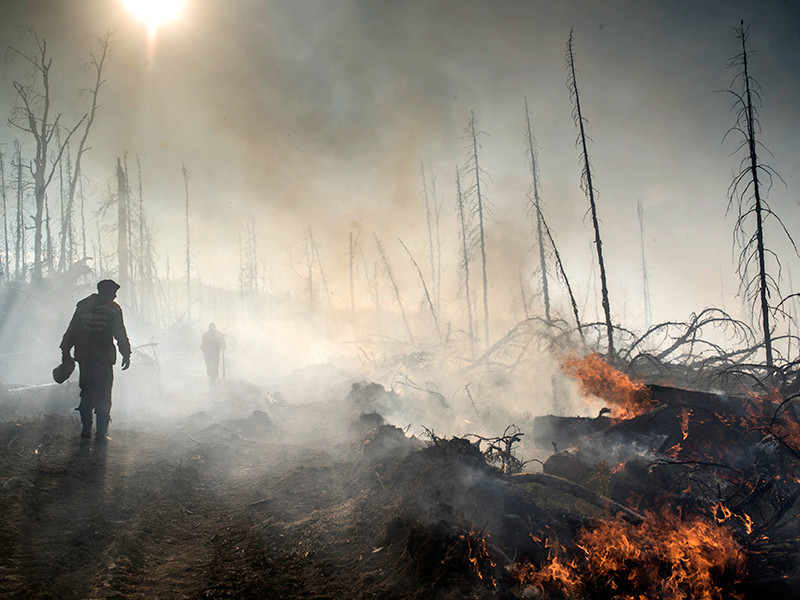 Сотрудники "Авиалесоохраны" Республики Бурятия во время тушения природного лесного пожара в Кабанском районе Бурятии, 9 июля 2017 года