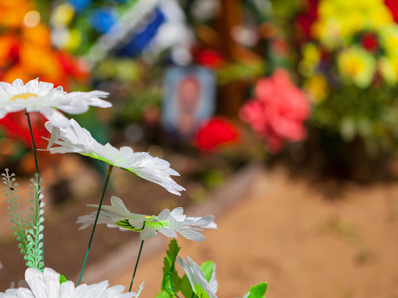 СМИ сообщили о появлении новых могил десантников на псковских кладбищах 


