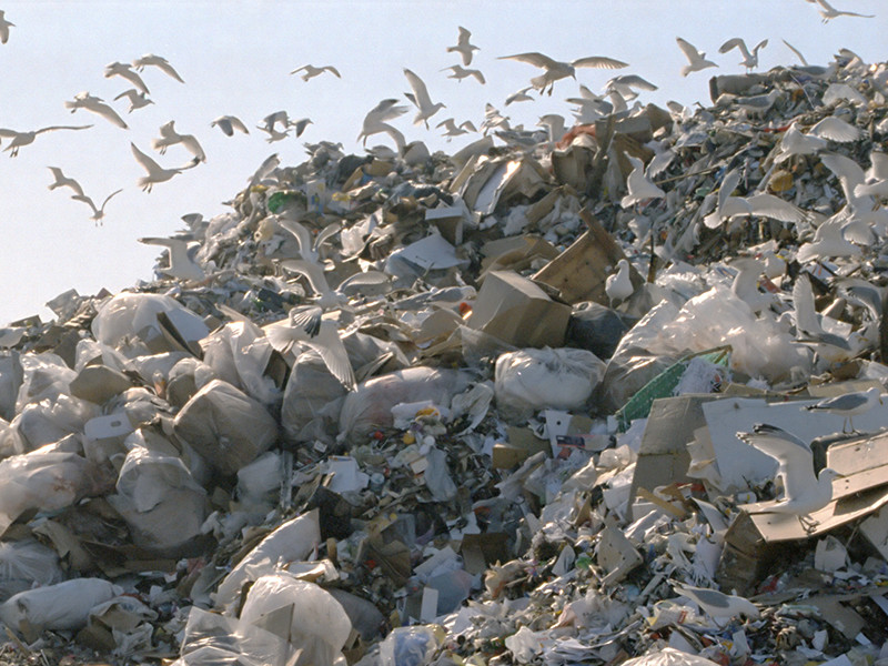 На каждого жителя России приходится свыше 200 тонн отходов, рассказали в Генпрокуратуре