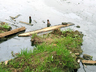 В Волгограде фекалии затопили подвалы домов и отравляют пруд с черепахами