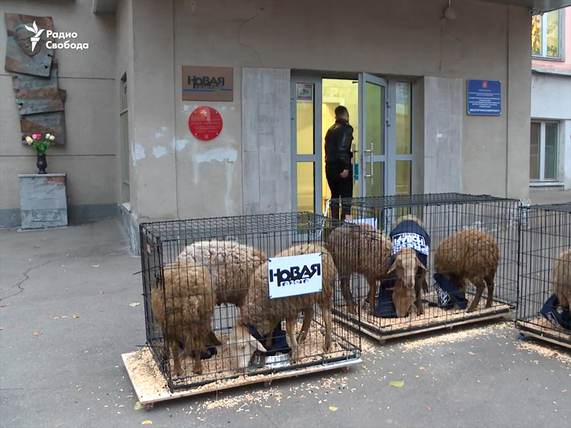 Днем в понедельник к зданию редакции "Новой газеты" в Потаповском переулке в Москве неизвестные привезли три клетки с девятью овцами, на которых были надеты жилеты с надписью "пресса"
