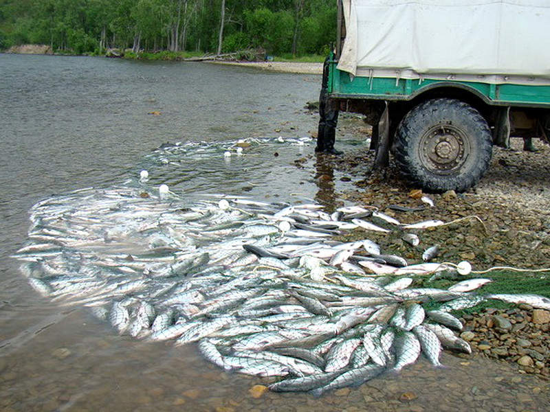 В Совбезе назвали незаконную ловлю рыбы угрозой для экономики России