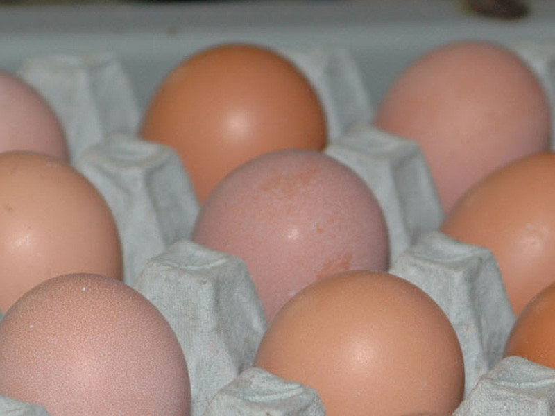 В российских магазинах появились куриные яйца в новых упаковках. В них не десять яиц, как привыкли покупатели, а только девять, расфасованных в таре в три ряда по три штуки
