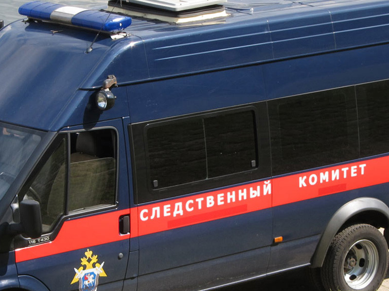 Следственный комитет в Московской области возбудил уголовное дело по факту смерти трехлетнего ребенка, проживавшего в приемной семье в городе Подольске, сообщается на сайте ведомства 6 февраля