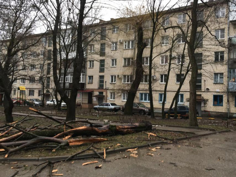 В Ставрополе объявлен режим ЧС из-за урагана