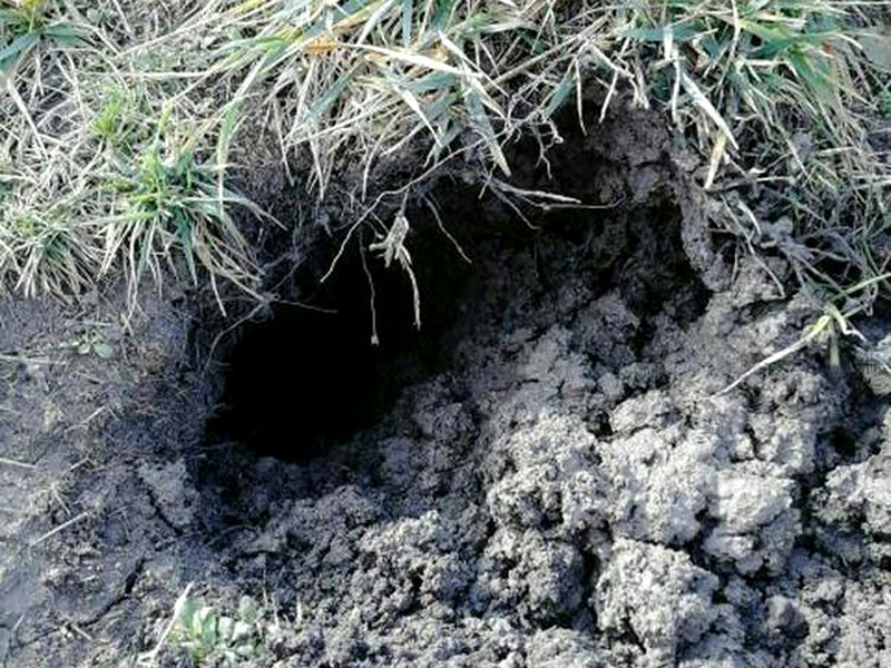 "Вход в Преисподнюю" в Крымске: специалисты вновь пытаются выяснить причины "плюющейся" глиной дыры в земле