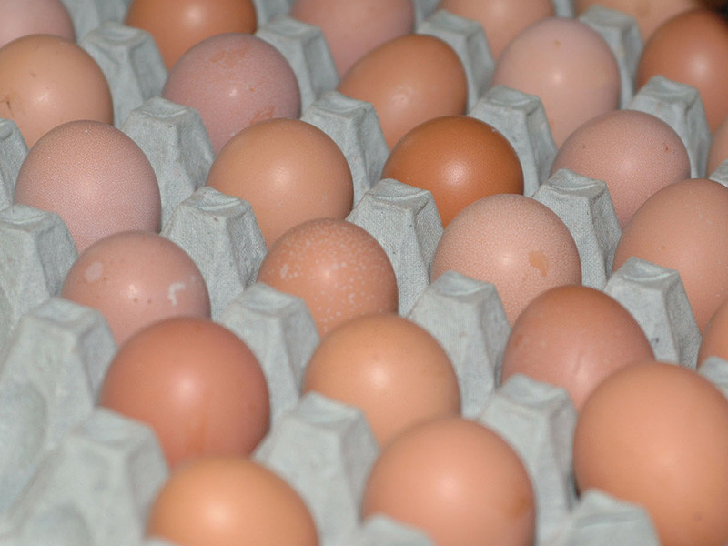 Роскачество в преддверии православной Пасхи опубликовало результаты исследования яиц 38 торговых марок на качество и безопасность