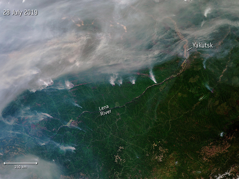 Дым от лесных пожаров в Сибири достиг Монголии, вызвав обеспокоенность властей