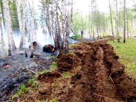 Площадь лесных пожаров в России увеличилась более чем на 7 тысяч гектаров