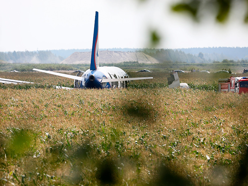 Подмосковные власти отрицают, что попавшие в двигатель самолета птицы прилетели в Жуковский с соседних свалок