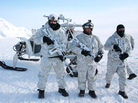 Росгвардия объявила тендер почти на миллиард для защиты российской Арктики от "подводных диверсионных сил"