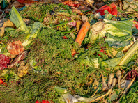 По словам авторов исследования, пищевые отходы представляют собой колоссальные финансовые потери. Стоимость выбрасываемой еды оценивается более чем в 1,6 трлн рублей, и ее хватило бы, чтобы прокормить 30 млн человек в течение года