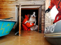 Наводнение в Новгородской области
