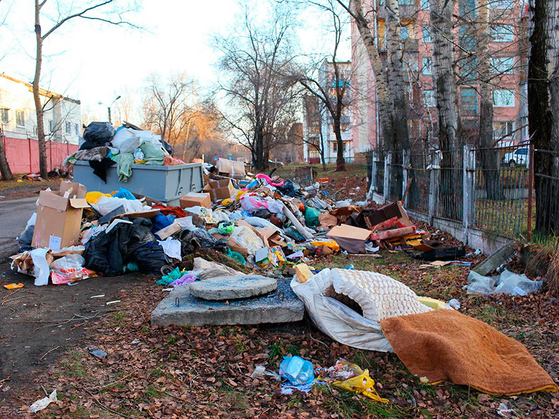В алтайском городе Бийске введен режим ЧС из-за мусорного коллапса