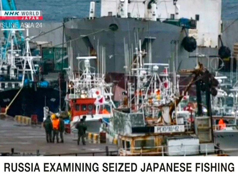 У берегов Южных Курил пограничники задержали 5 японских судов за вылов осьминогов