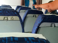 Пассажир сломал нос женщине на рейсе Гоа - Москва из-за пролитого кофе