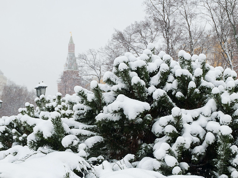 В Москве ожидается самый сильный за зиму снегопад