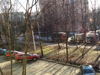 Апрель в феврале: в Москве 4 дня подряд обновляются температурные рекорды (ФОТО)