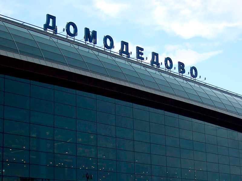 Полуголый нетрезвый мужчина устроил перепалку с сотрудниками погранконтроля в аэропорту Домодедово и был привлечен к административной ответственности за мелкое хулиганство


