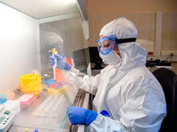 В России провели испытания прототипов вакцин от коронавируса на мышах и хорьках, у них удалось создать иммунитет против COVID-19. Теперь специалисты приступили к испытаниям на низших приматах, они продлятся до конца апреля


