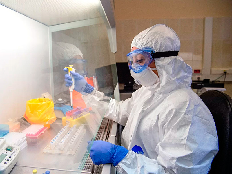 В России провели испытания прототипов вакцин от коронавируса на мышах и хорьках, у них удалось создать иммунитет против COVID-19. Теперь специалисты приступили к испытаниям на низших приматах, они продлятся до конца апреля

