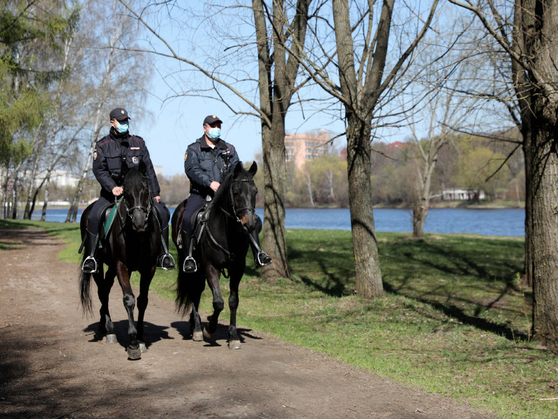 В Москве во второй половине мая могут смягчить режим самоизоляции: открыть часть парков, разрешить горожанам пробежки и прогулки с животными дальше разрешенных сейчас 100 метров от дома