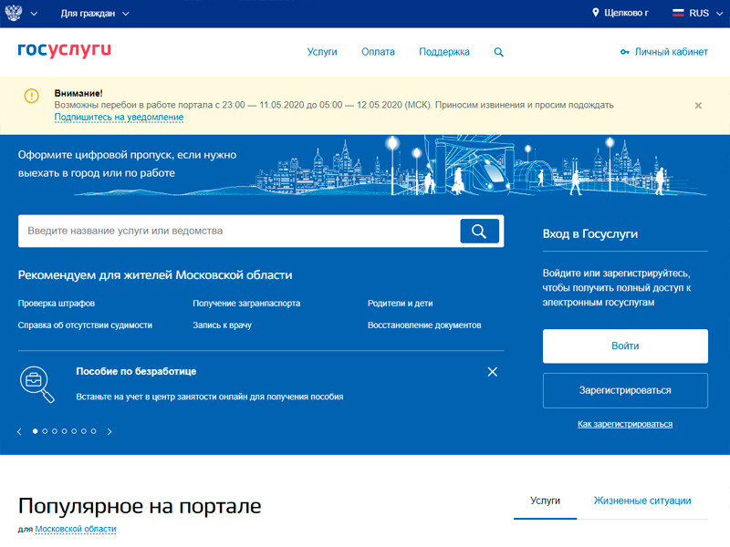 Сайт "Госуслуги" рухнул после обращения Путина, пообещавшего соцвыплаты на детей